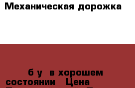 Механическая дорожка TORNEO б.у. в хорошем состоянии › Цена ­ 6 500 - Пермский край, Пермь г. Спортивные и туристические товары » Тренажеры   . Пермский край,Пермь г.